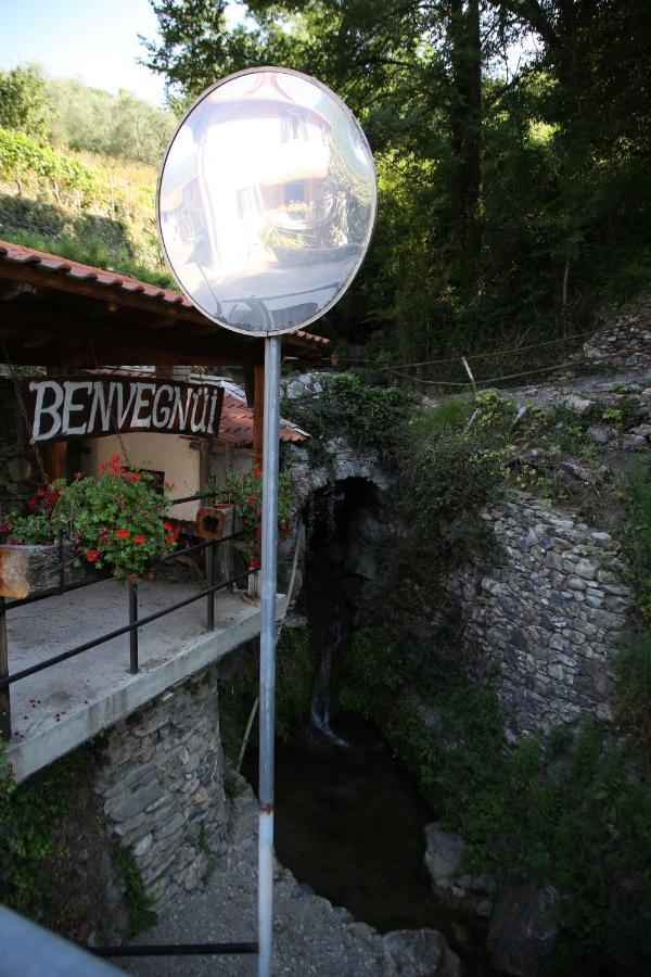 Villa A Ca Du Barbijun Pieve di Teco Exterior foto